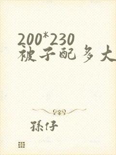 200*230被子配多大的被罩