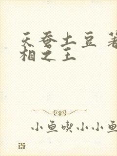 天蚕土豆 著万相之王