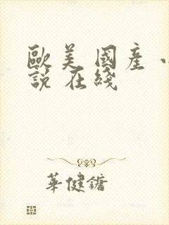 欧美 国产 小说 在线