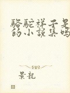 骆驼祥子是鲁迅的小说集吗