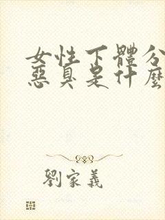 女性下体分泌物恶臭是什么原因?