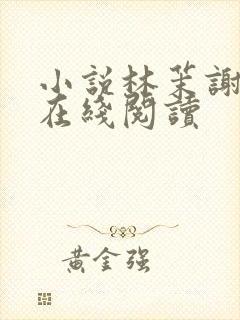 小说林茉谢观砚在线阅读