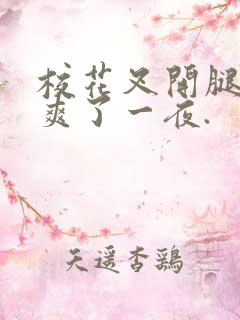 校花叉开腿让我爽了一夜.