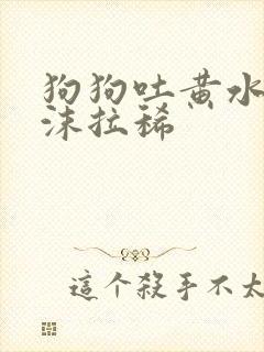 狗狗吐黄水带泡沫拉稀