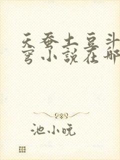 天蚕土豆斗破苍穹小说在哪可以看