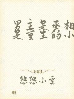 男主是丞相女主是重生的小说