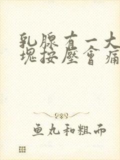 乳腺有一大块硬块按压会痛