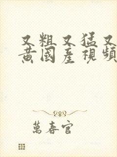 又粗又猛又硬又黄国产视频