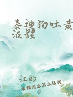 泰迪狗吐黄色的液体