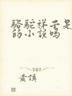 骆驼祥子是老舍的小说吗