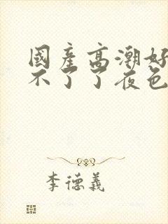 国产高潮好爽受不了了夜色