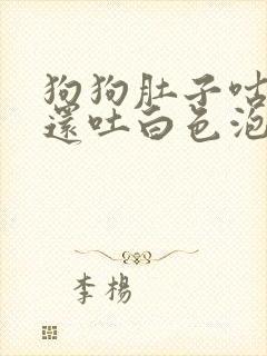 狗狗肚子咕咕叫还吐白色泡沫