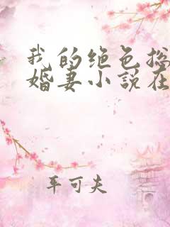 我的绝色总裁未婚妻小说在线