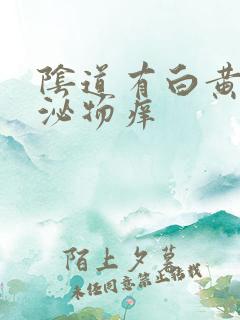 阴道有白黄色分泌物痒