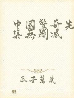 中国惊奇先生全集无删减