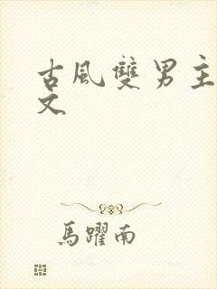 古风双男主生子文