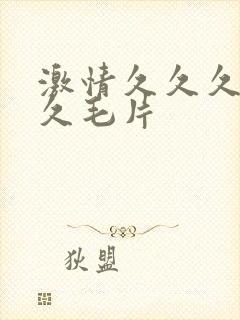 激情久久久久久久毛片