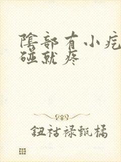 阴部有小疙瘩一碰就疼