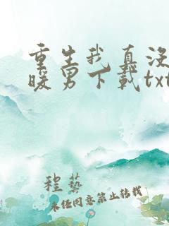 重生我真没想当暖男下载txt