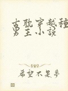 古耽穿越种田双男主小说