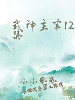 武神主宰128集