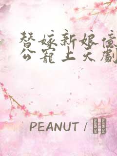 替嫁新娘亿万老公宠上天剧情