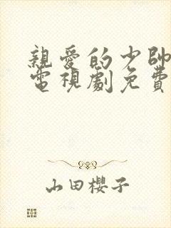 亲爱的少帅夫人电视剧免费观看全集高清