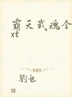 霸天武魂全文txt