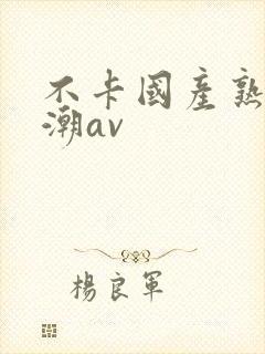 不卡国产熟女高潮av