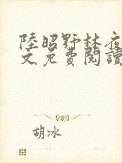 陆昭野林夜棠全文免费阅读最新章节