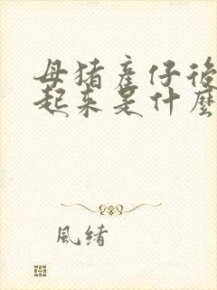 母猪产仔后站不起来是什么原因