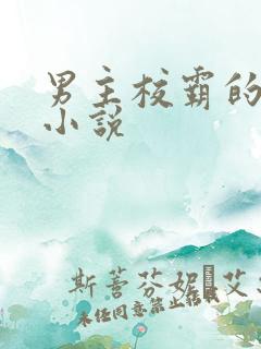 男主校霸的校园小说