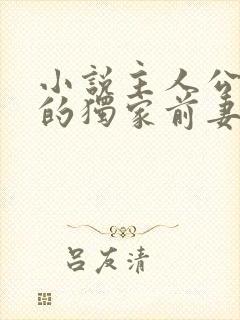 小说主人公秦少的独家前妻免费阅读