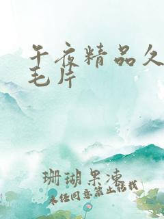 午夜精品久久久毛片