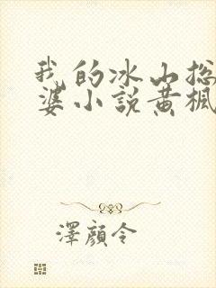 我的冰山总裁老婆小说黄枫雨天