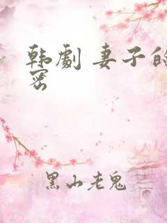 韩剧 妻子的秘密