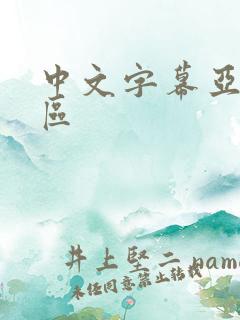 中文字幕亚洲二区