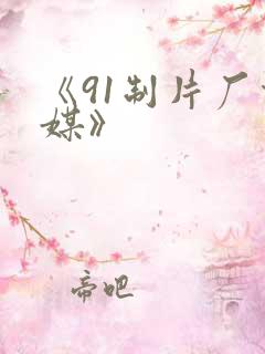 《91制片厂传媒》