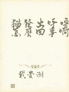 猫发出呼噜声是怎么回事啊