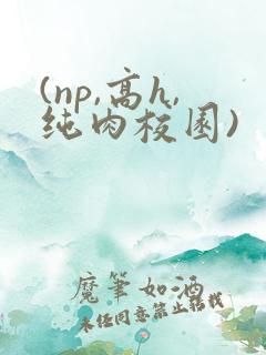 (np,高h,纯肉校园)