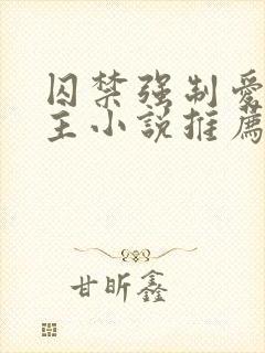 囚禁强制爱双男主小说推荐