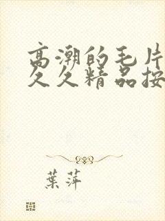 高潮的毛片激情久久精品按摩