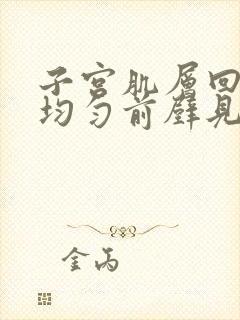 子宫肌层回声不均匀前壁见低回声