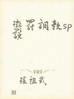 惩罚调教sp小说