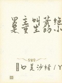 男主叫萧绝女主是重生的小说