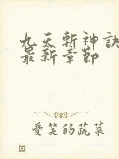 九天斩神诀小说最新章节