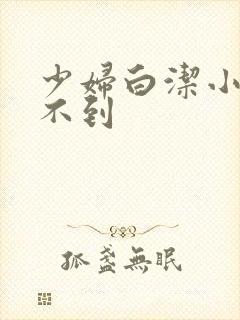 少妇白洁小说搜不到