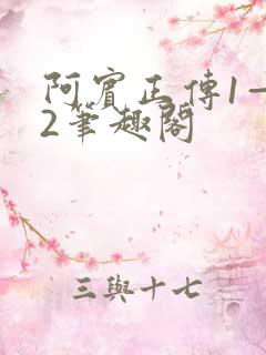 阿宾正传1—72笔趣阁