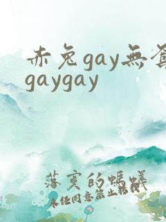 赤兔gay无套gaygay