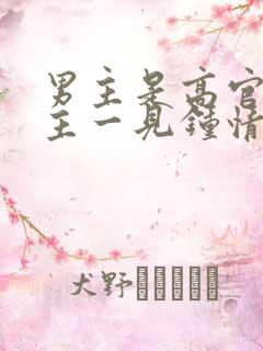 男主是高官对女主一见钟情强取豪夺